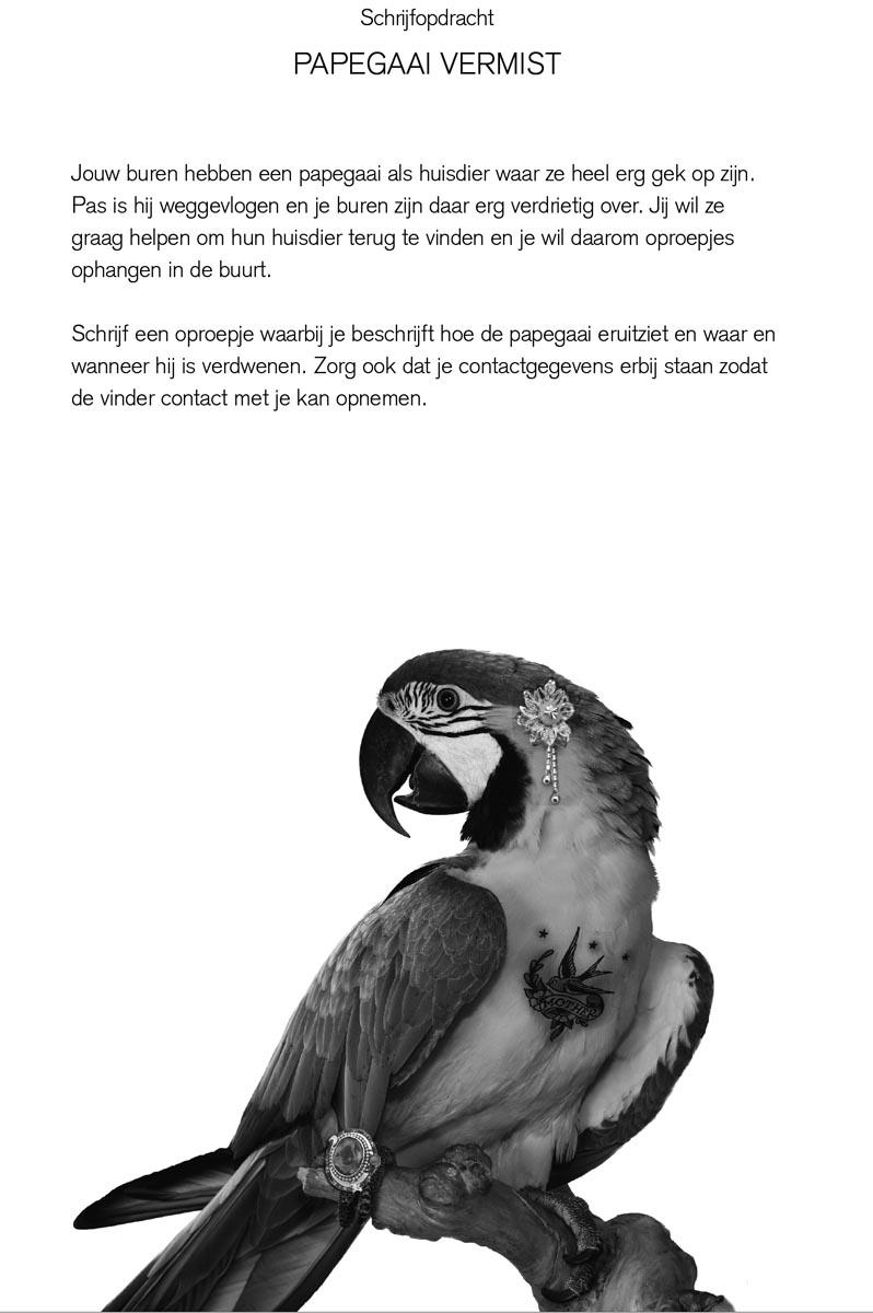 Schrijfopdracht papegaai vermist